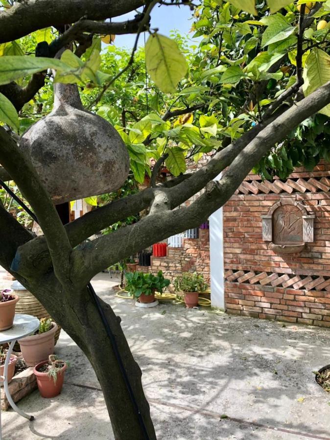 Villa Muzhaqi Nivice 外观 照片