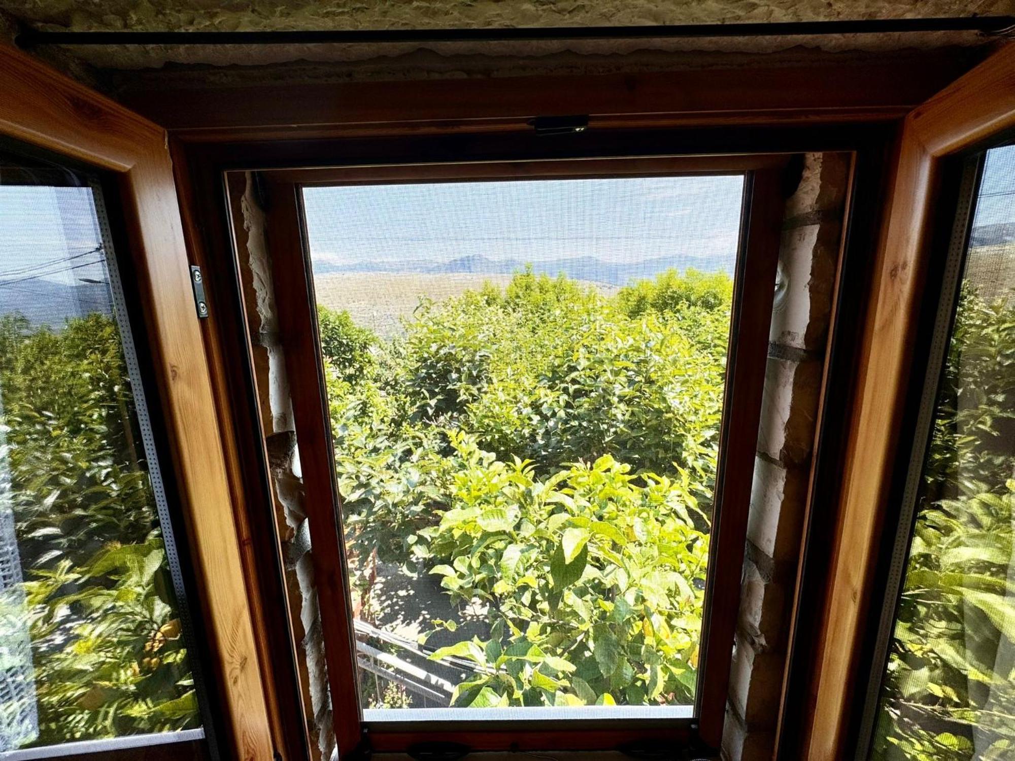 Villa Muzhaqi Nivice 外观 照片